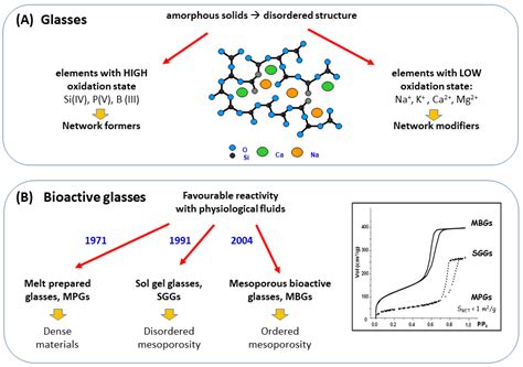  Bioglass® - 혁신적인 생체 적합성 유리, 골 재생의 미래를 열다!