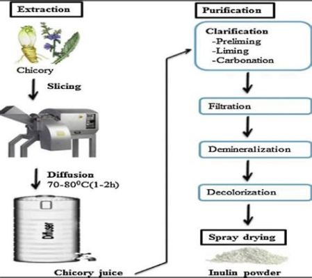  이눌린 생산 프로세스와 식품 산업 응용에 대한 고찰!